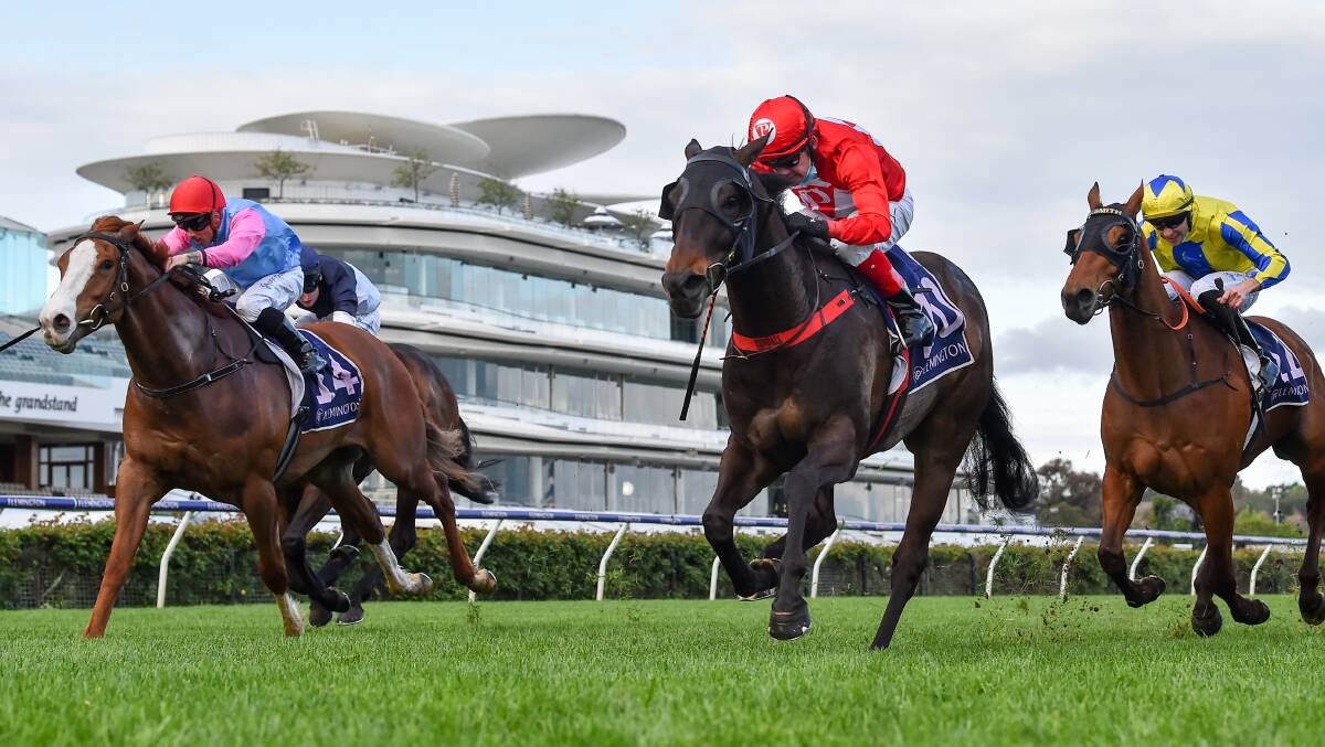 STEPPING-UP: Just Folk (left), ridden by Dean Holland, chases Justacanta (in red and white) home in the Listed Paris Lane Stakes at Flemington earlier this month. The Josh Julius-trained five-year-old will be having his first Group-level start at Moonee Valley on Saturday. Picture: RACING PHOTOS