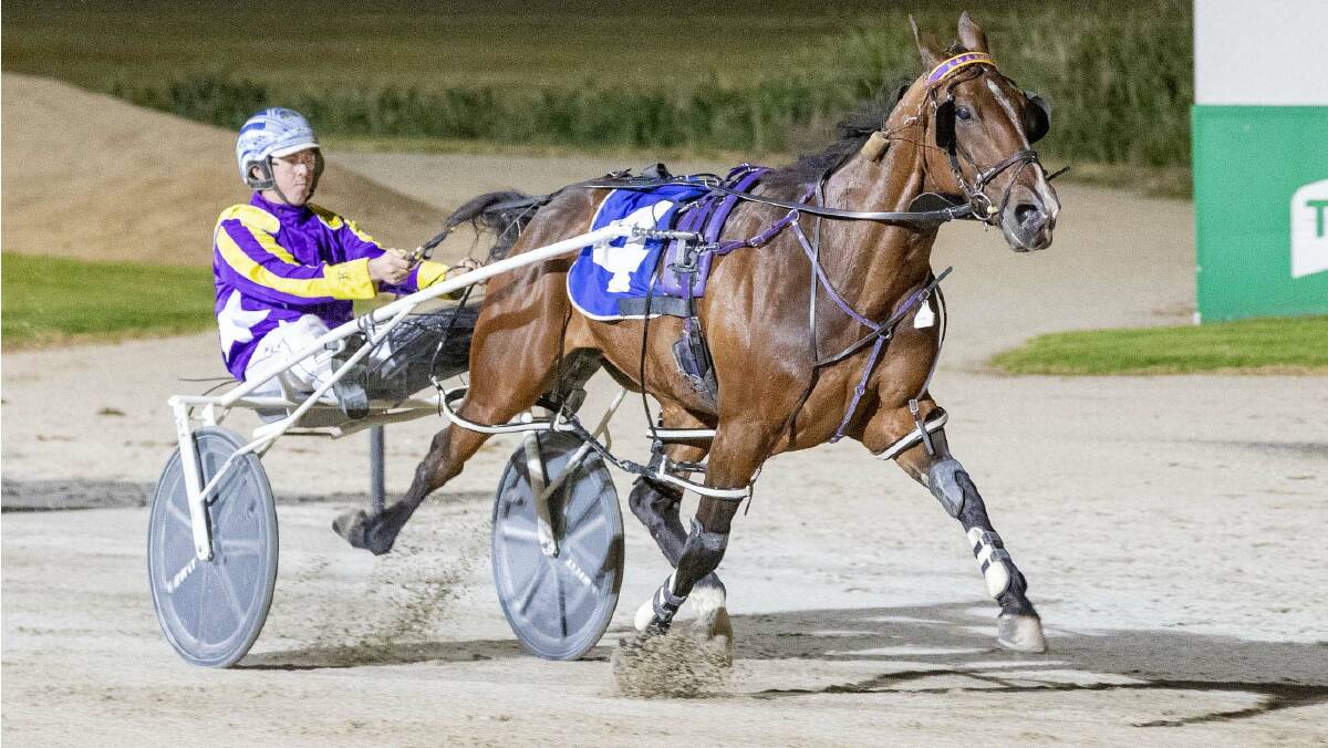 IMPRESSIVE: Alex Ashwood steers Maestro Bellini to victory at Tabcorp Park Melton on Saturday night. Picture: STUART McCORMICK