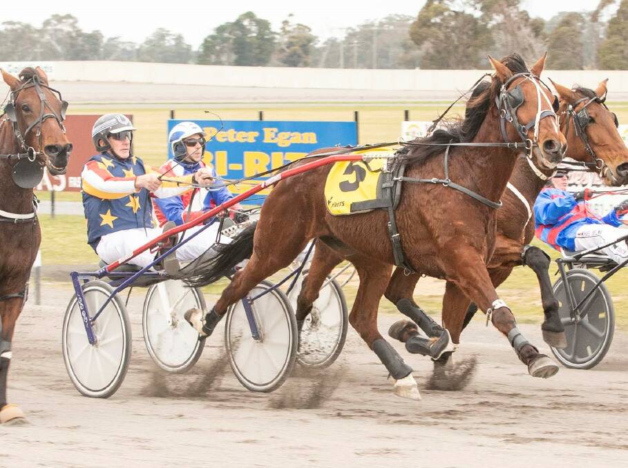 IN THE DRIVER"S SEAT: Mark Hayes clocks up a win on his home track at Maryborough. The astute horseman has been honoured by Harness Racing Victoria with a distinguished services award. Picture STUART McCORMICK
