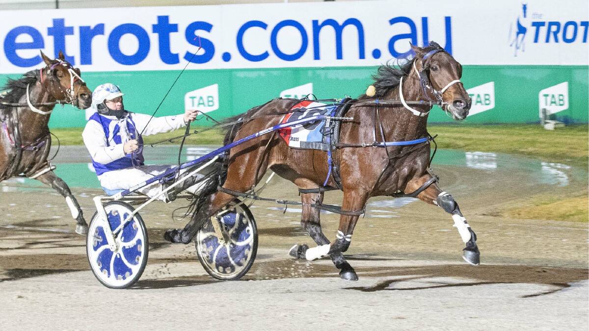 The Julie Douglas-trained Pray Tell, pictured winning at Melton last Friday, will be chasing a third-straight win at Cranbourne this Saturday night. Picture: STUART McCORMICK PHOTOGRAPHY