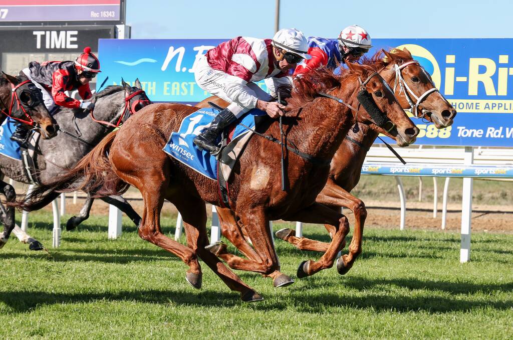 Shakhani (on the outside), ridden by John Keating, breaks her maiden at Wangaratta on Sunday, May 22, 2022. Picture: RACING PHOTOS