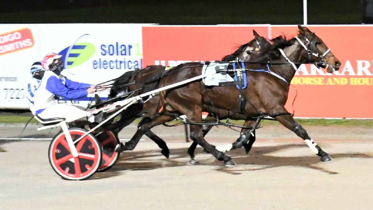 POPULAR WIN: Renko, driven by Abby Sanderson, charges to victory at Bendigo's Lord's Raceway last friday. Picture: CLAIRE WESTON PHOTOGRAPHY