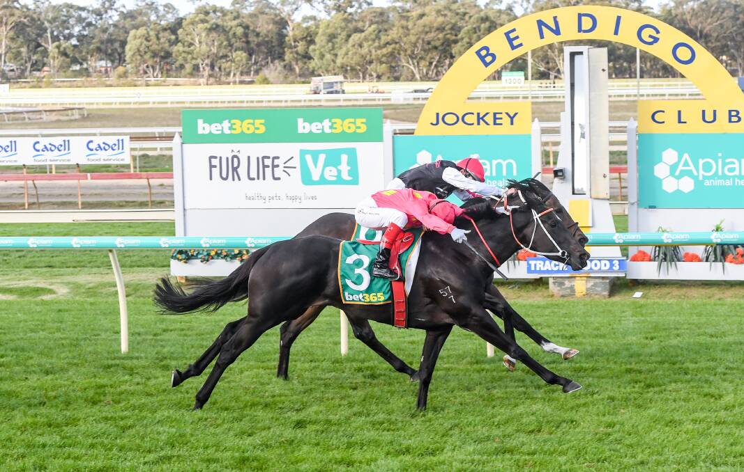 More Secrets, ridden by Craig Williams, grabs Estoril Park (Damien Oliver) on the line to win the three-year-old fillies and mares benchmark 64 on Wednesday. Picture: BRETT HOLBURT/RACING PHOTOS