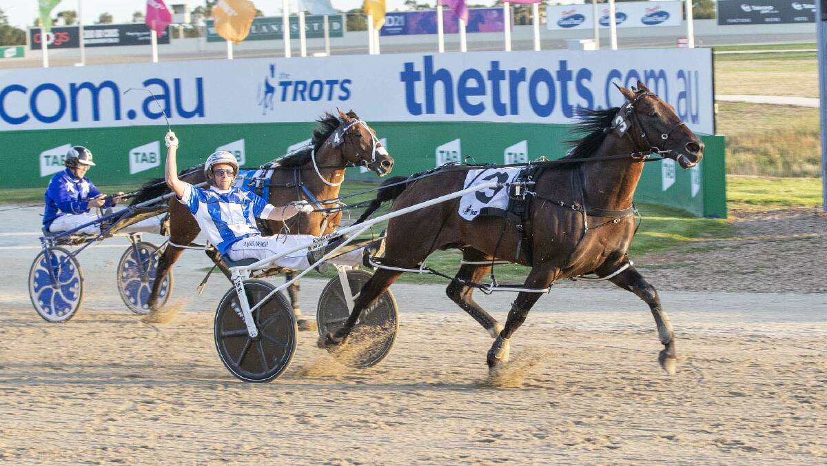 Lochinvar Art headlines a stellar cast of pacers and trotters at Lord's Raceway on Saturday night. Picture: STUART McCORMICK