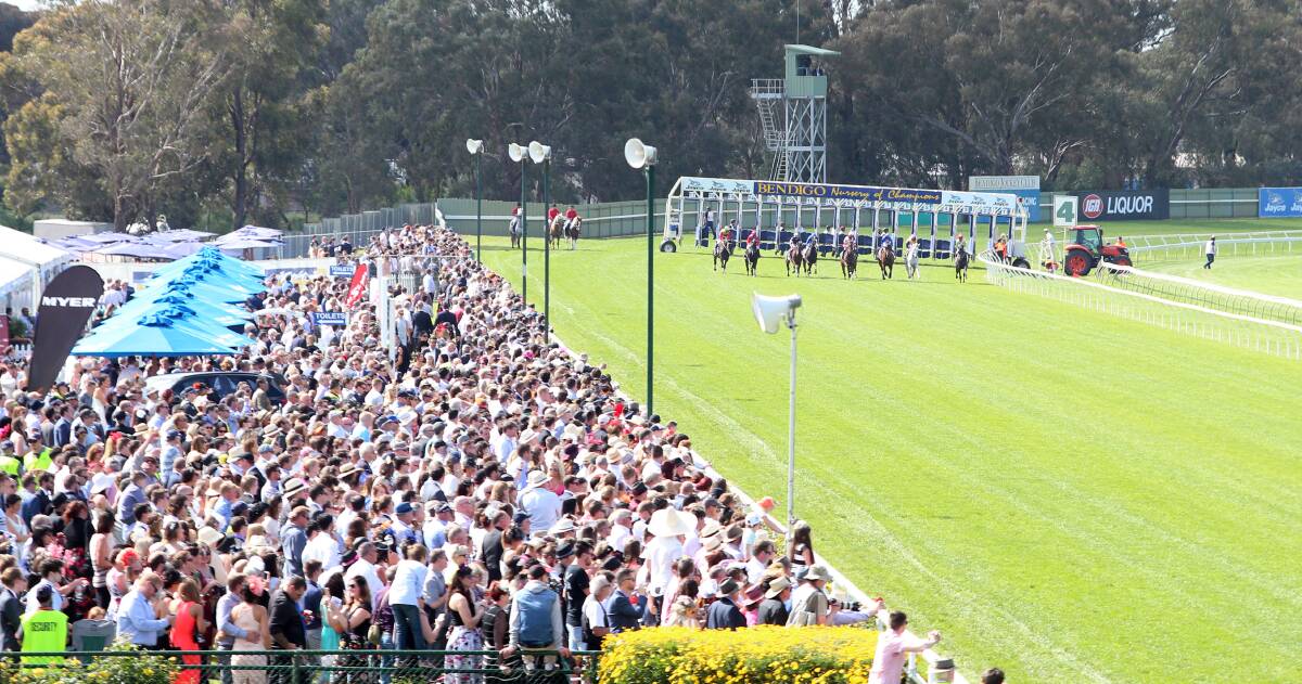 It's all pointing to a huge 2017 Bendigo Cup day.