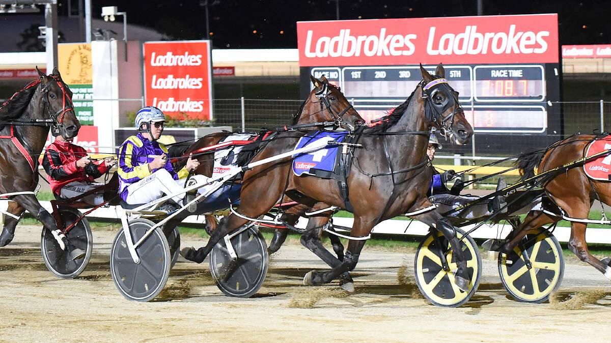 Beat City, driven by Alex Ashwood, followed up a third in the South Australian Derby in February with a fourth in the Tasmanian Derby in March. Picture: STACEY LEAR PHOTOGRAPHY