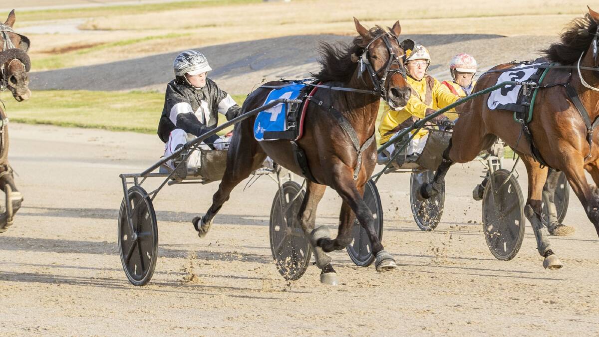 Michelle Phillips urges Norquay to victory at Tabcorp Park melton. Picture: STUART McCORMICK