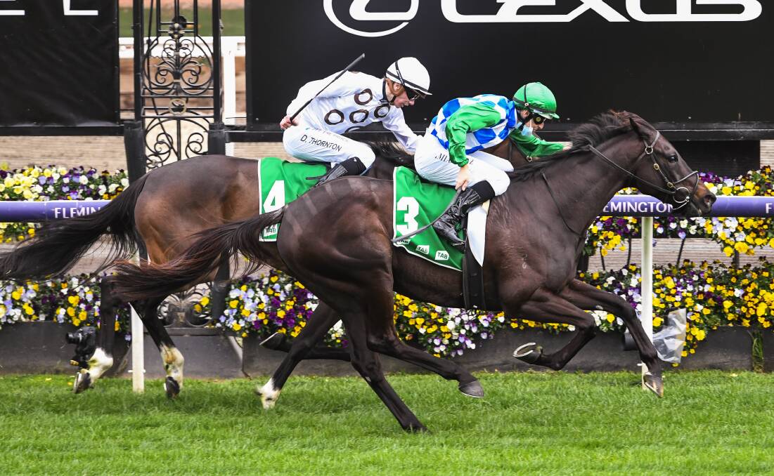 Tooradin, ridden by Damian Lane, wins at Flemington in September. Picture: RACING PHOTOS