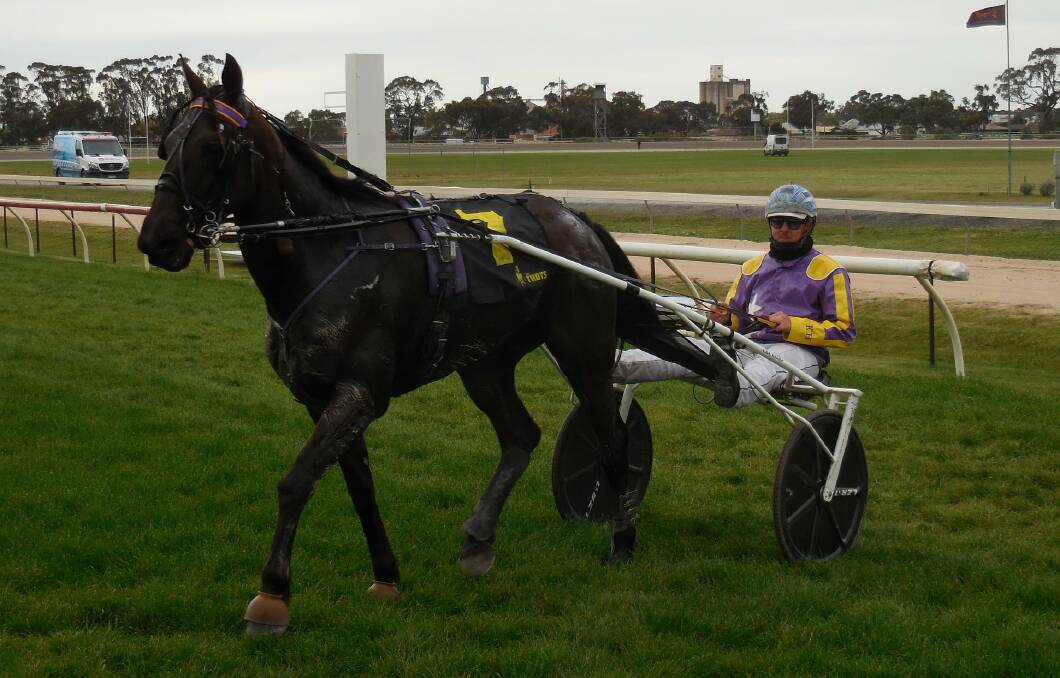 Beau Garcon, driven by Alex Ashwood, picked up his second win at Horsham and seventh of his career last Thursday.Picture: HORSHAM HARNESS RACING CLUB