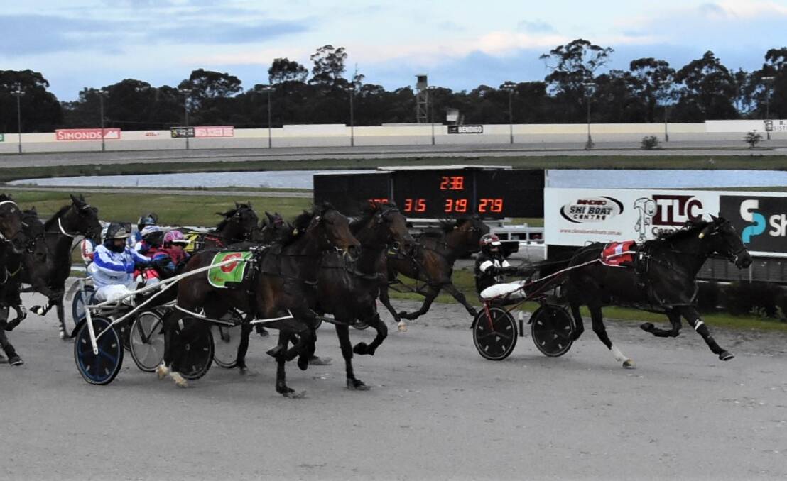 Form Analyst, driven by Tayla French, wins at Lord's Raceway last Saturday. Picture: CLAIRE WESTON PHOTOGRAPHY
