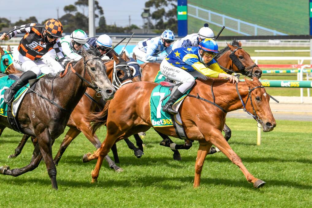IN CONTENTION: In Her Honour, ridden by Campbell Rawiller, wins at Geelong on November 15. Picture: RACING PHOTOS
