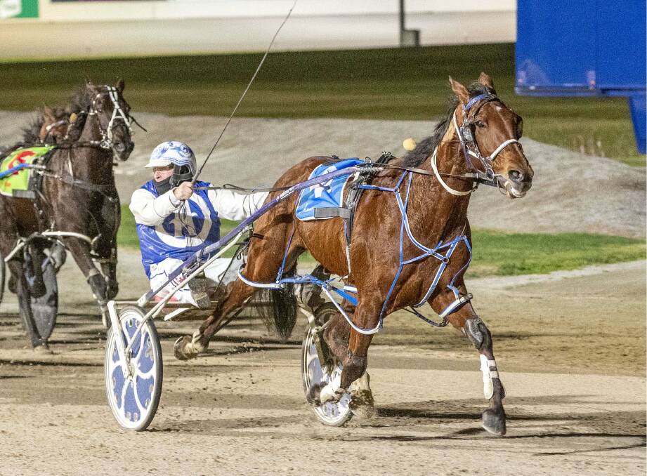 Glenn and Julie Douglas combine for a victory with the former New Zealand pacer Chase The Hat Trick at Tabcorp Park Melton on Friday night. Picture: STUART McCORMICK