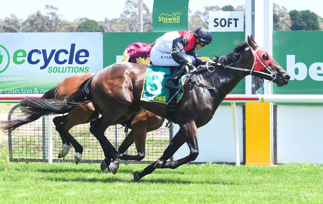 Snappy Tycoon, ridden by Neil Farley, breaks through for his maiden win over 1100m at Stawell on Friday Picture by Pat Scala/Racing Photos