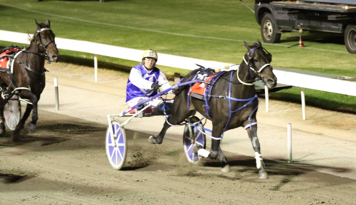 Bernie Winkle, driven by Ellen Tormey, has won a record-breaking 36 times at Mildura's City Oval Paceway. Picture: CHARLI MASOTTI PHOTOGRAPHY