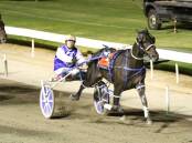 Bernie Winkle, driven by Ellen Tormey, has won a record-breaking 36 times at Mildura's City Oval Paceway. Picture: CHARLI MASOTTI PHOTOGRAPHY