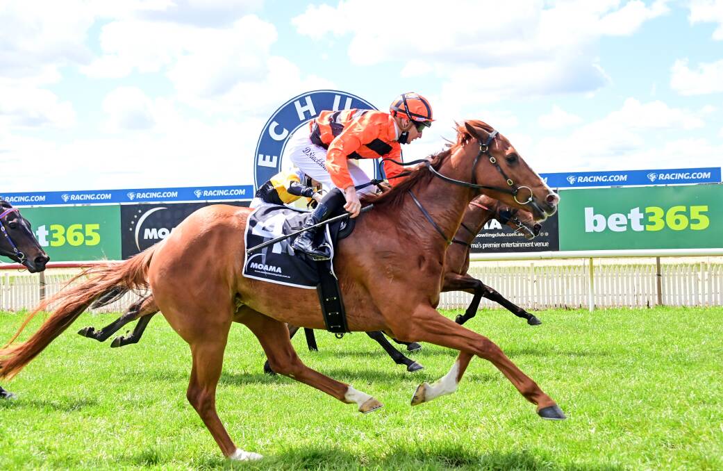 The Josh Julius-trained Satin Ruler, ridden by Daniel Stackhouse, powers to victory in his debut run on Monday at Echuca. Picture: BRENDAN McCARTHY/RACING PHOTOS