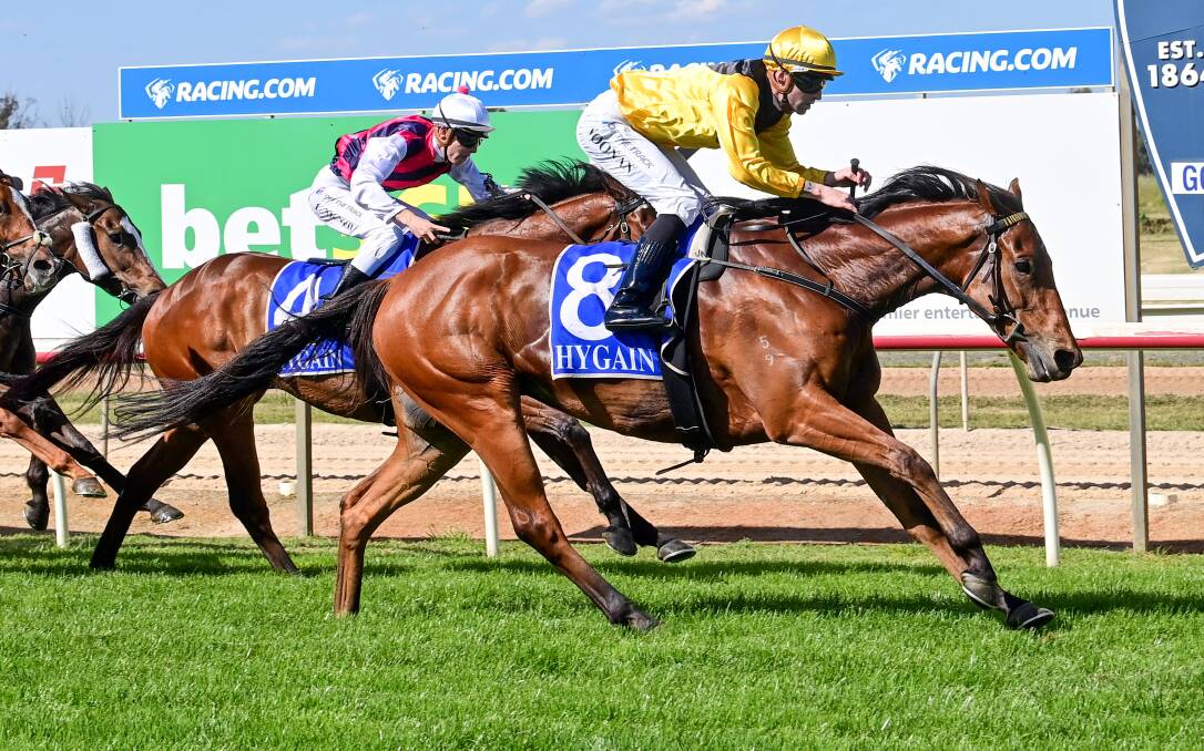 Makusha, ridden by Jake Noonan, delivers on a much-anticipated second career win at Echuca on Thursday. Picture by Brendan McCarthy/Racing Photos