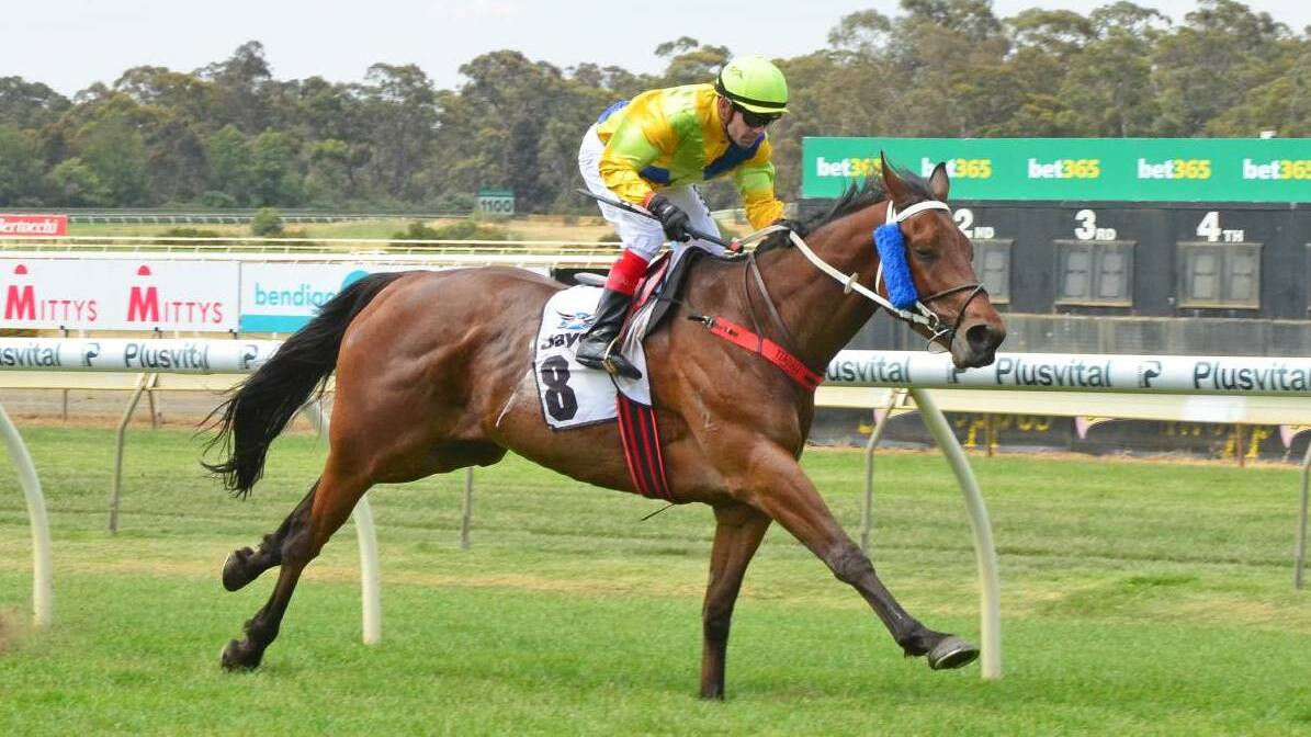 The Danny Curran-trained Welcome Stryker is aiming for consecutive wins on Marong Cup day.