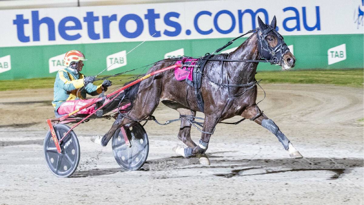 Major Manbar, driven by James Herbertson, charges to the line at Melton last Saturday night. Picture: STUART McCORMICK