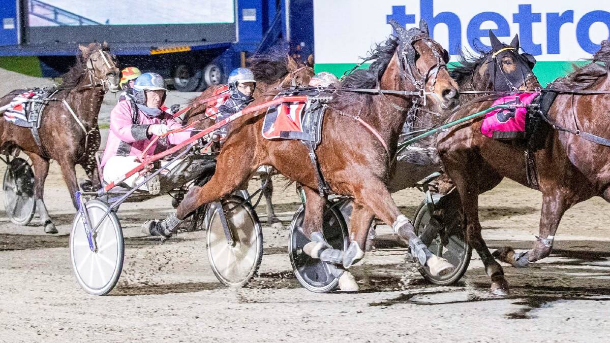 Champion trainer-driver Gavin Lang urges Downunder Barkers to victory at Tabcorp Park Melton on Saturday night for Campbells Creek trainer Keith Semmens. Picture: STUART McCORMICK