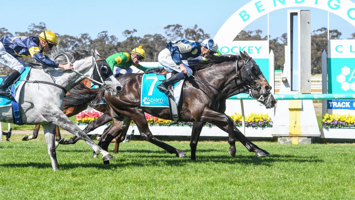 Interpretation, ridden by Michel Dee, holds off Brayden Star (Blaike MacDougall) to win the $500,000 Group 3 Bendigo Cup on Wednesday. Picture by Pat Scala/Racing Photos