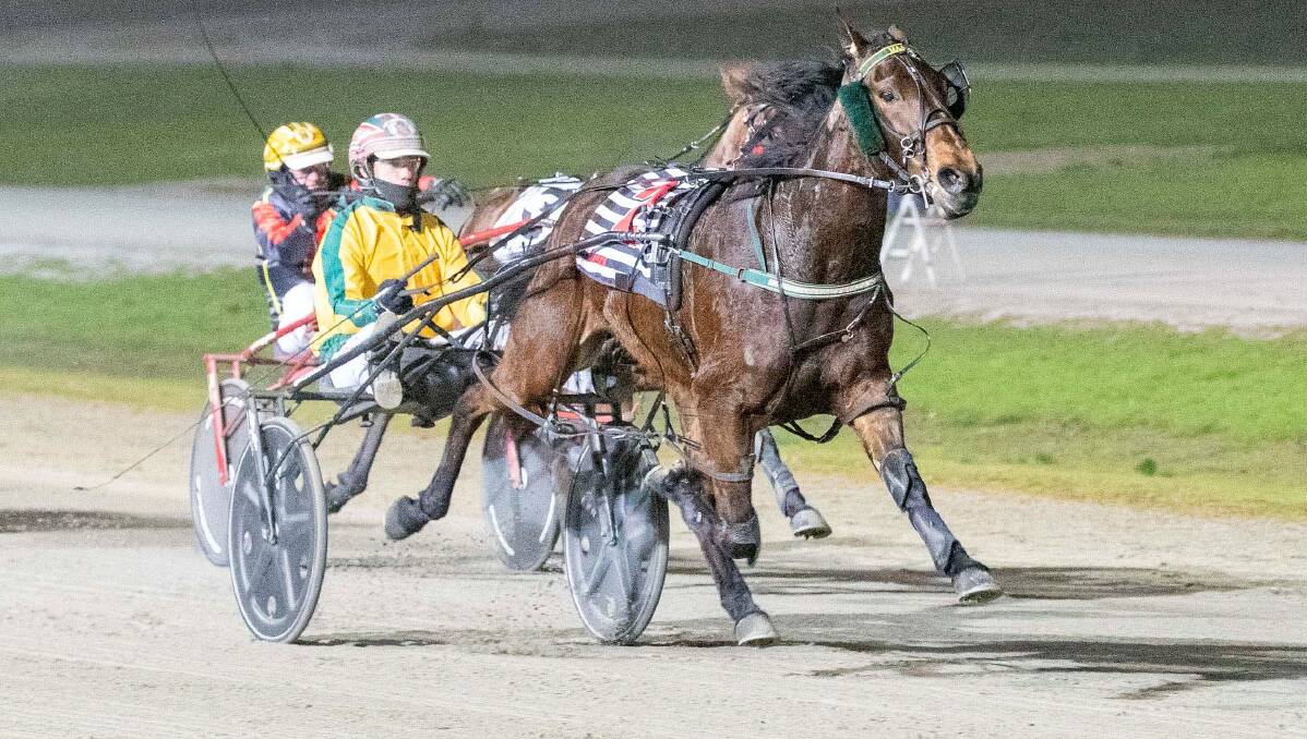 IMPRESSIVE: Greg Sugars steers the Emma Stewart-trained Maajida to a strong win in Saturday night's Breeders Crown Series heats at Lord's Raceway. Picture: STUART McCORMICK