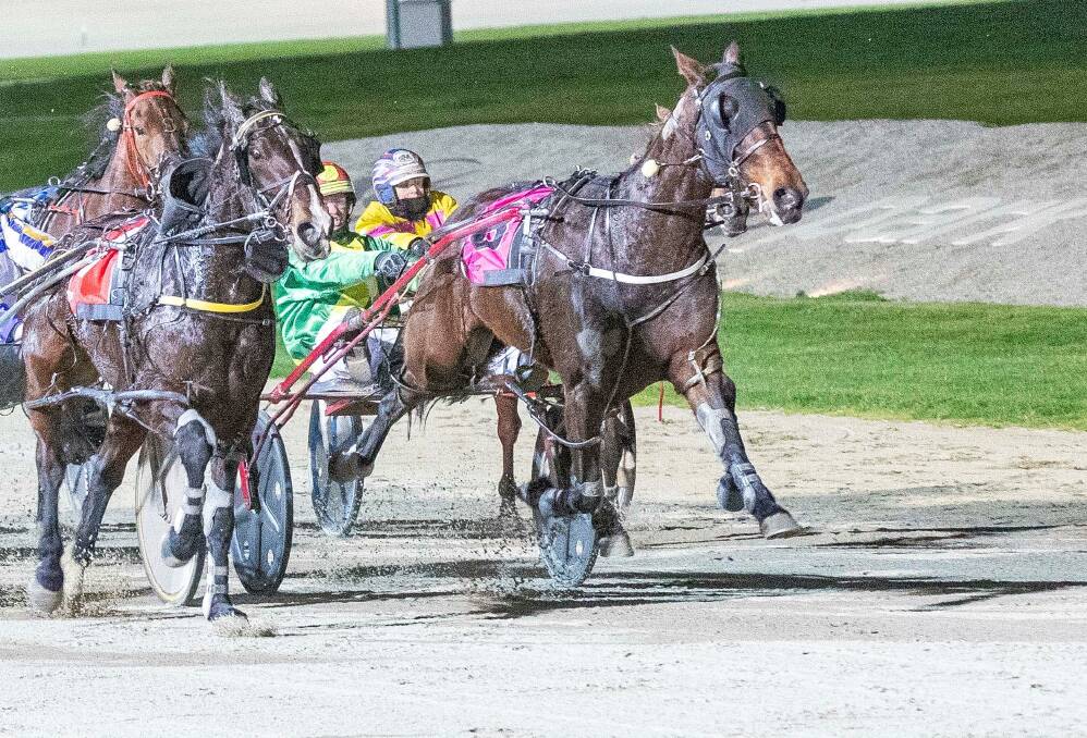 James Herbertson steers Animated to victory at Tabcorp Park Melton on Saturday night. Picture: STUART McCORMICK