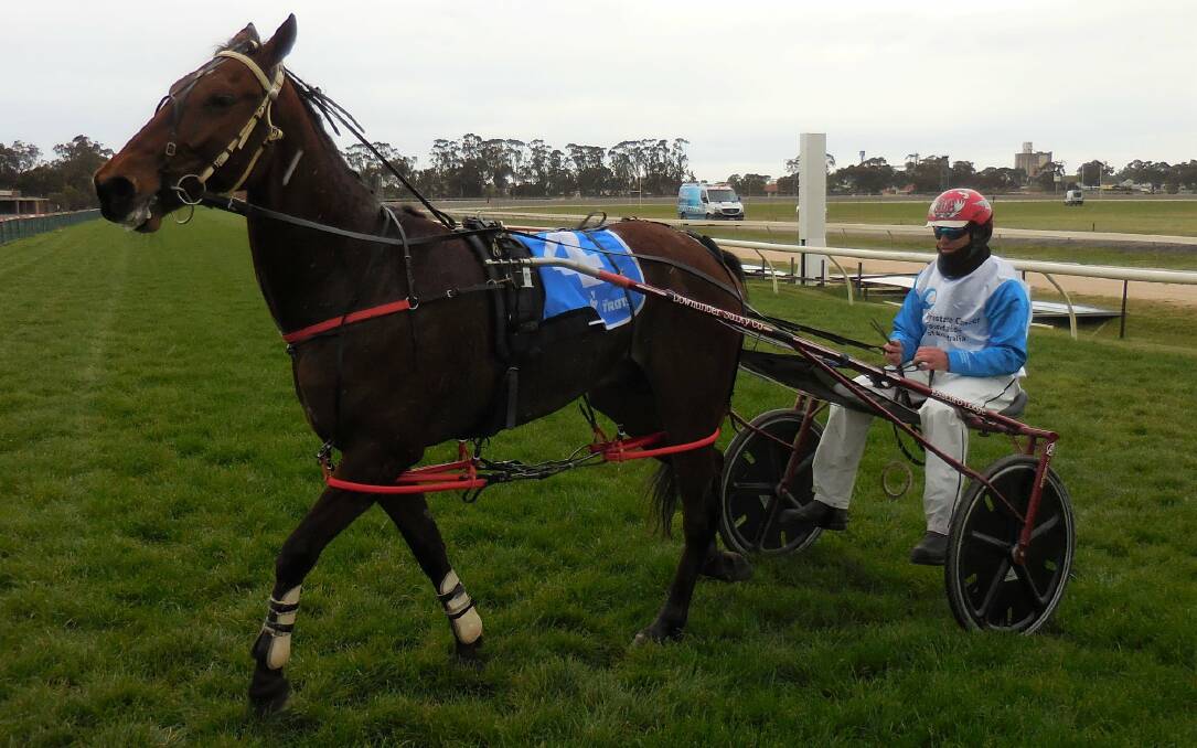 Liberland, driven by Michael Bellman, broke through for his maiden win at Horsham on Thursday. Picture: HORSHAM HARNESS RACING CLUB
