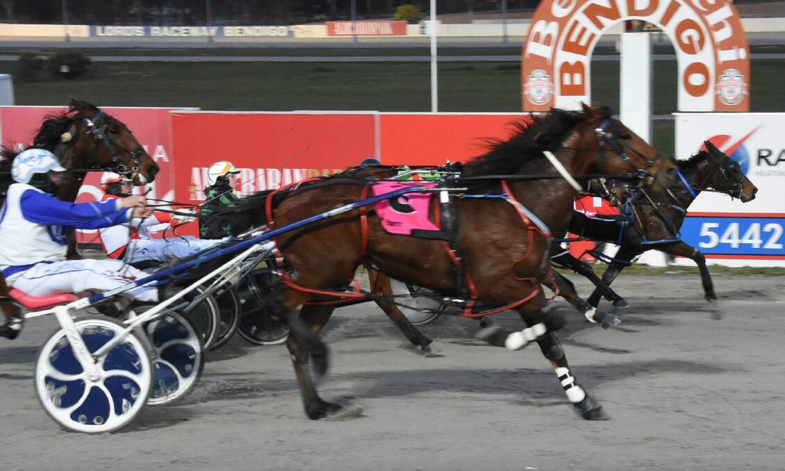 You Ninety Two flashes home to win at Lord's Raceway late last month. The five-year-old made it back-to-back victories with another success at Shepparton on Tuesday night. Picture: CLAIRE WESTON PHOTOGRAPHY 