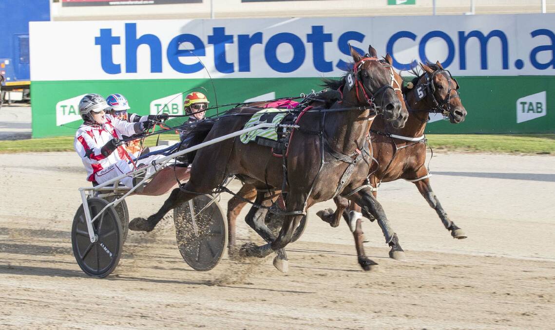 Michelle Phillips steers the Robert Rothacker-owned and Chris Svanosio-trained Repeat After Me to victory at Tabcorp Park Melton on Saturday night. Picture: STUART McCORMICK