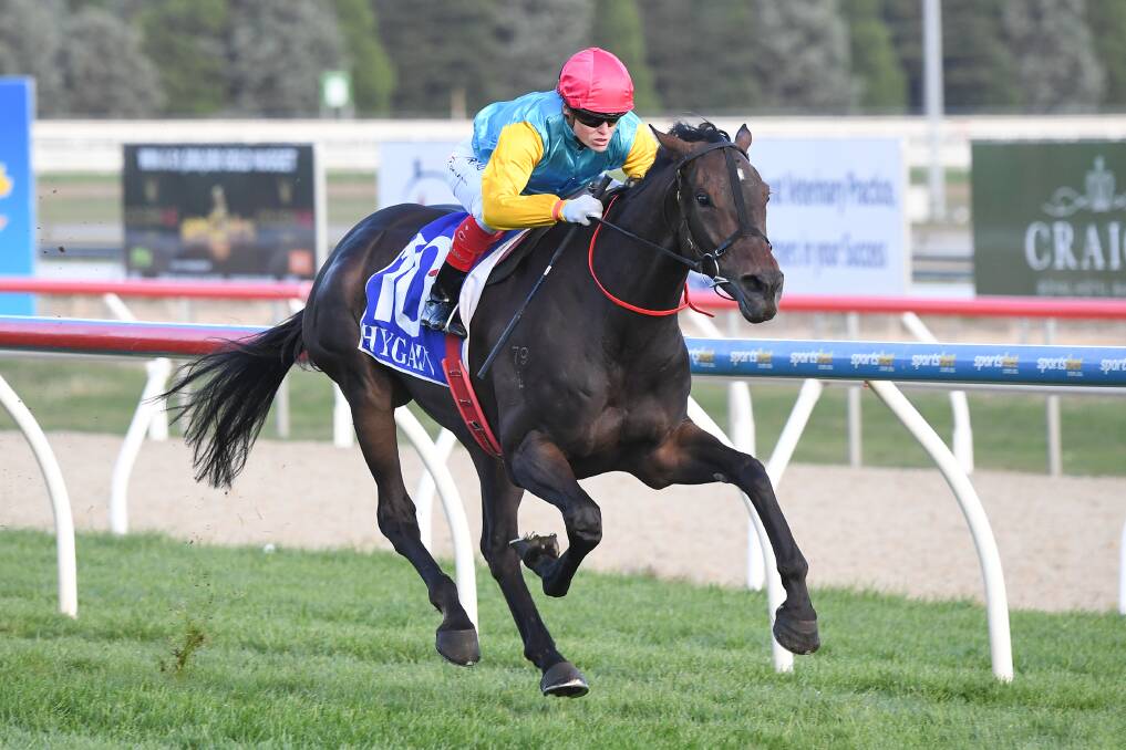 Emerging stayer Super Girl was a big factor in Josh Julius';success during the 2019-20 season. Picture: RACING PHOTOS