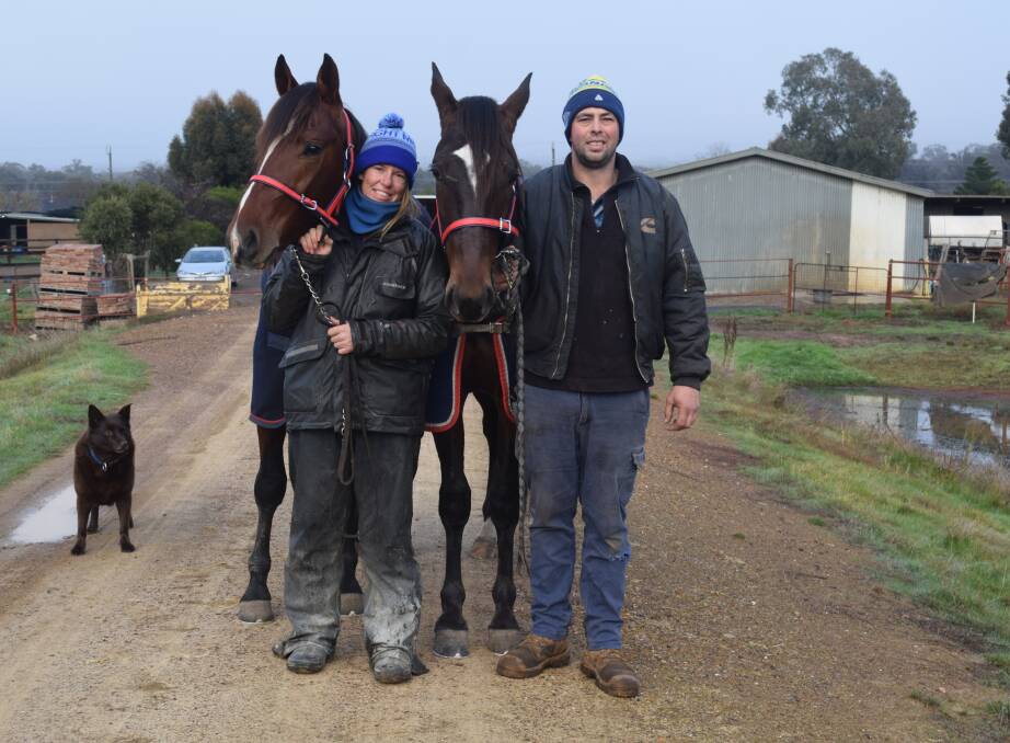 Junortoun trainer Dylan Marshall and Tayla Fellows with Australian Pacing Gold Vic Gold Bullion Final hopefuls Classically Smooth and Racing Time.