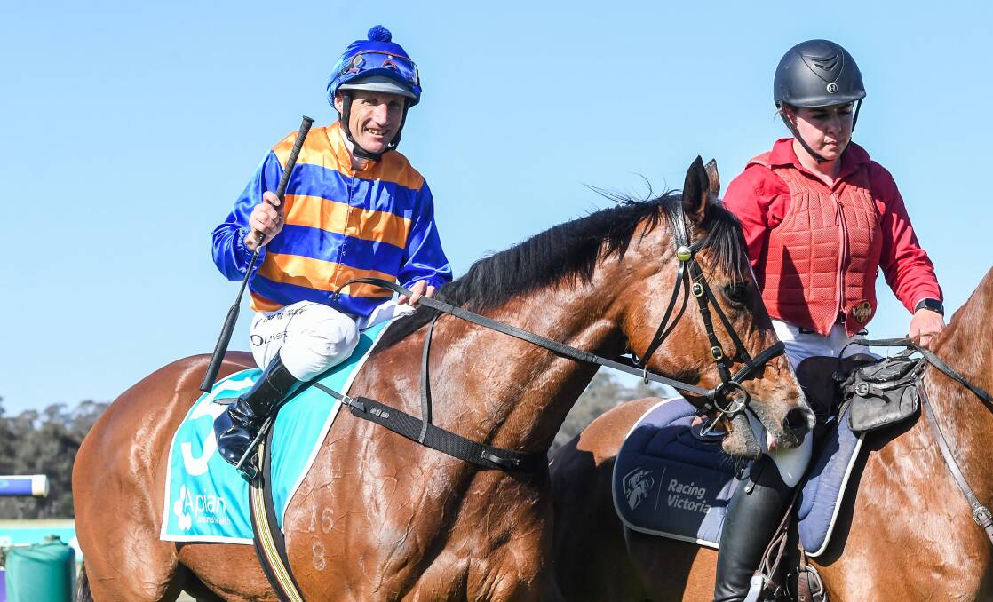 Damien Oliver will again ride Volpe Risorsa for Bendigo trainer Toby Lake on Bendigo Cup day on Wednesday. The champion jockey's win on the five-year-old mare last month gave Lake his first win as a trainer. Picture by Racing Photos
