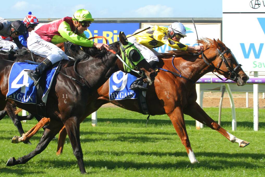 Punk Princess, ridden by Campbell Rawiller, scores a win for Bendigo trainer Shaun Dwyer. Picture: RACING PHOTOS