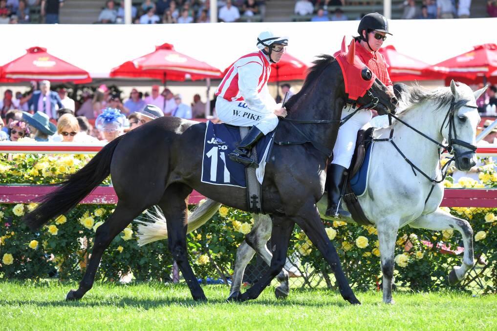 MEMORIES: Top Of The Range and William Pike soak up the applause of the crowd after last year's astonishing Bendigo Cup victory. Picture: PAT SCALA/RACING PHOTOS