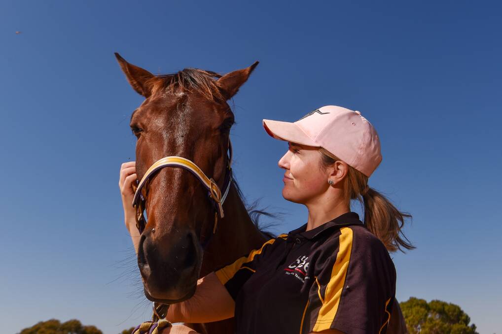 The Kate Hargreaves-trained Ludacrous is primed for action in the Group 1 Breeders Crown 3YO Fillies Final at Melton on Saturday night. Picture by Darren Howe