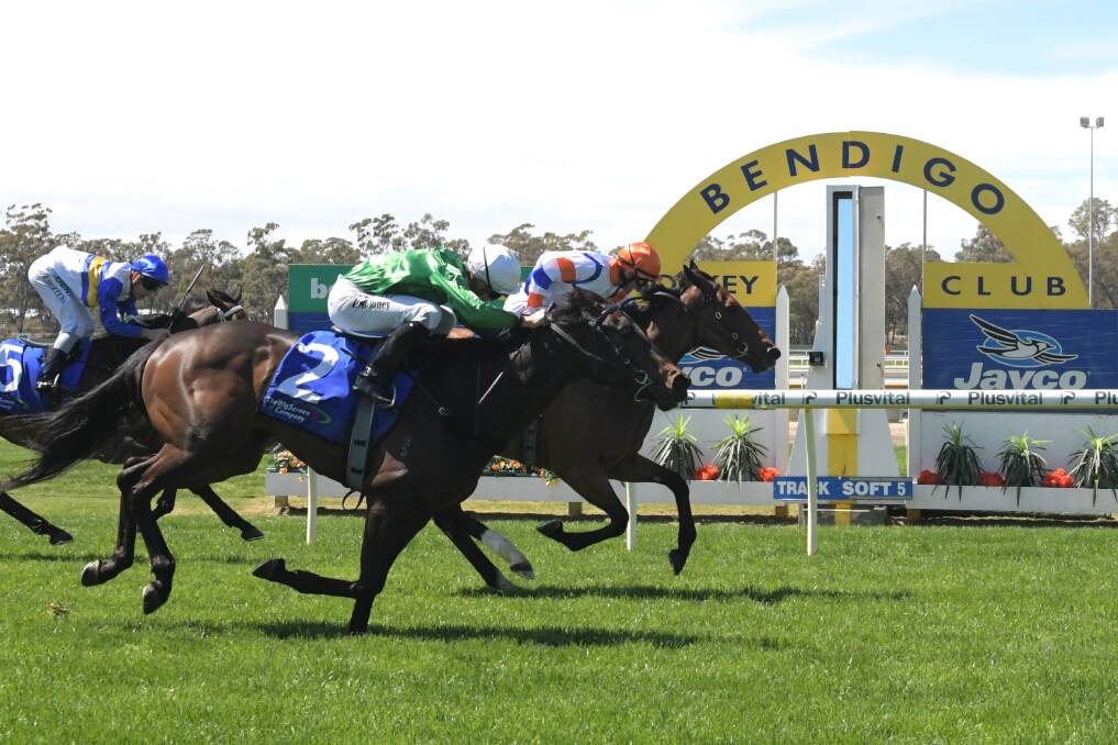 UNBEATEN RECORD INTACT: The Tony McEvoy-trained Beauty, ridden by Luke Currie, gets to the line ahead of the John Moloney-trained Fine Dane in race two at Bendigo on Wednesday. Picture: NONI HYETT