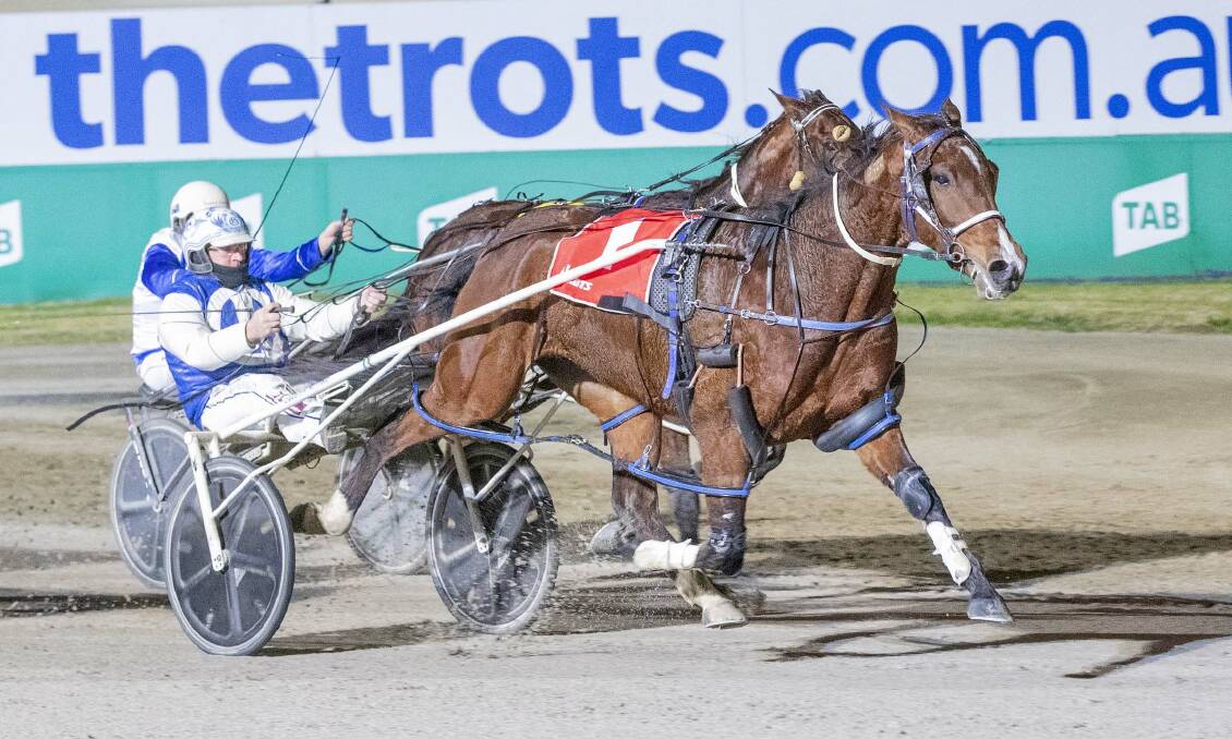 Junior Feelgood, driven by Glenn Douglas, backed up his win at Melton last Friday night with another at Maryborough on Monday Picture: STUART McCORMICK