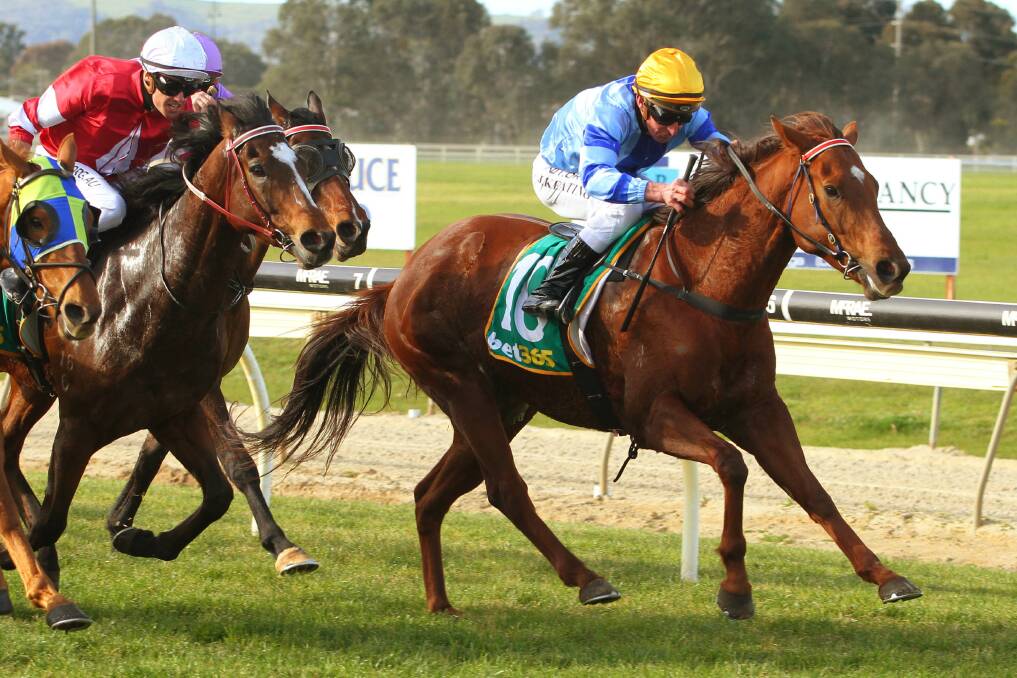 John Keating urges Tycoon Roxy to a tough win at Wodonga on Monday. Picture: RACING PHOTOS