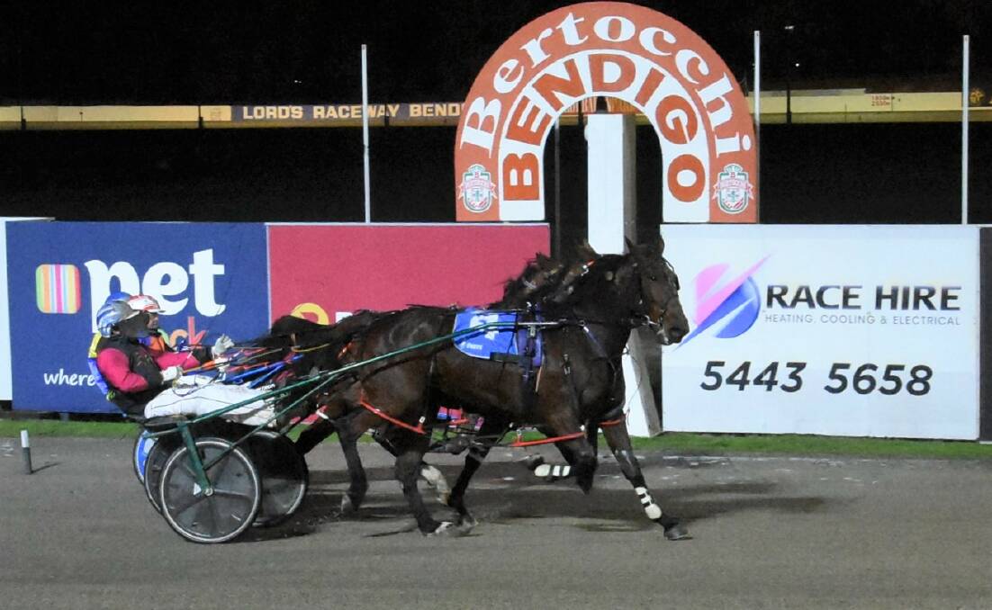 ARRIVING IN TIME: Alex Ashwood steers the Aaron Bain-trained Melodys Daughter to victory at Lord's Raceway on Tuesday night. Picture: CLAIRE WESTON PHOTOGRAPHY