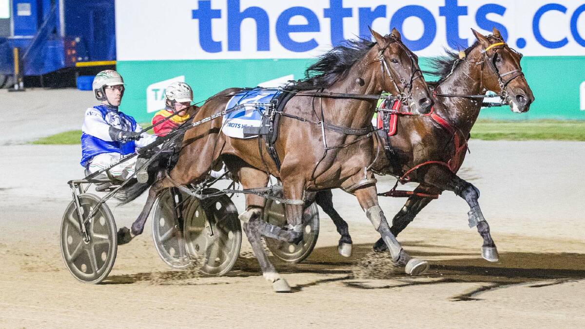 Lochinvar Jag, driven by Greg Sugars, wins at Melton on March 26 this year. Picture: STUART McCORMICK