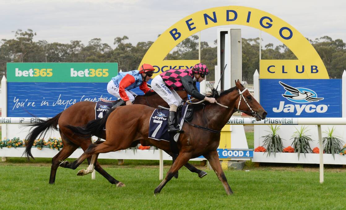 The Kym Hann-trained Elmore Lad wins his maiden race at Bendigo last year. File picture: DARREN HOWE