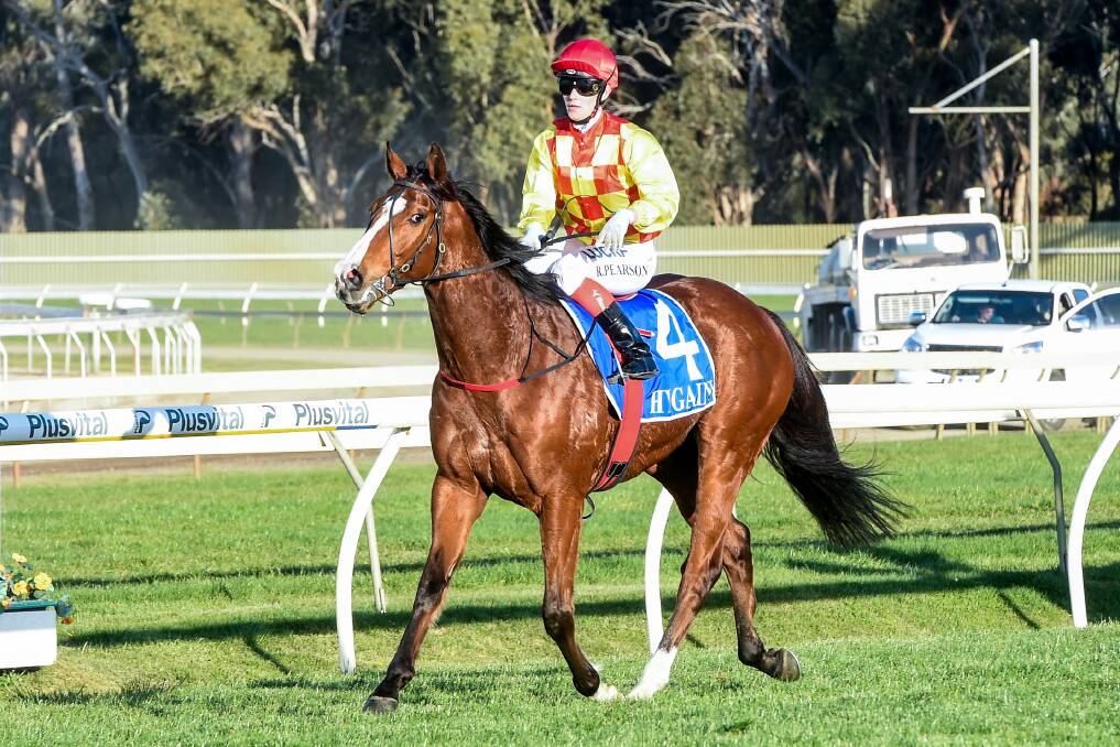 Lucky Fish will be chasing a third win in four starts over 1300m at Bendigo. He is pictured following his Bendigo win in September 2018. Picture: RACING PHOTOS