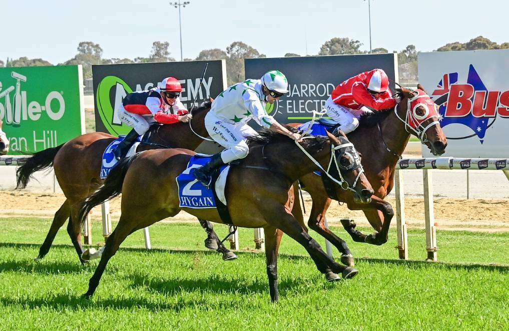 Wellsford, ridden by Billy Egan, wins at Swan Hill on October 26. Picture: BRENDAN McCARTHY/RACING PHOTOS