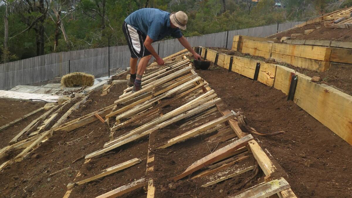 PALLETS OF PLENTY: Using timber pallets in steep-slope gardening provides ledges to help plants established their roots and stabilise the soil. Photos: Hannah Moloney.