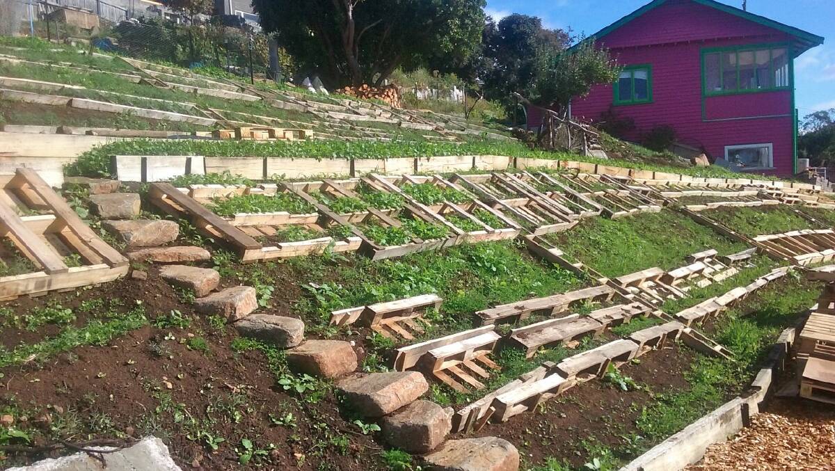 Using pallets to help stabilise soil - a game changer for steep-slope gardening.