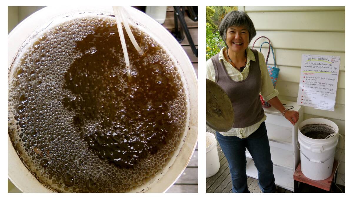 GARDEN BREW: Hobart market gardener Suzi Lam shares her compost tea recipe for helping to improve the health of your plants. Pictures: Hannah Moloney.