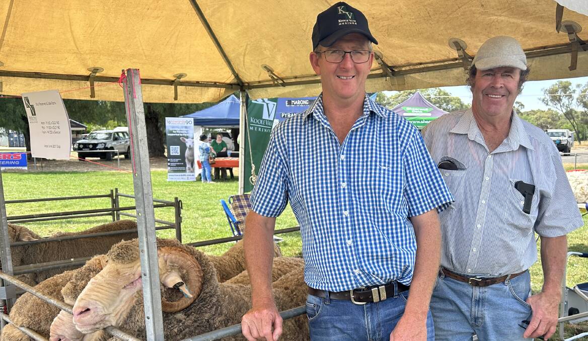 Victorian Stud Merino Sheep Breeders Association president Alan Harris, Costerfield, has criticised a government plan to stop the killing of dingoes. Picture by Joely Mitchell