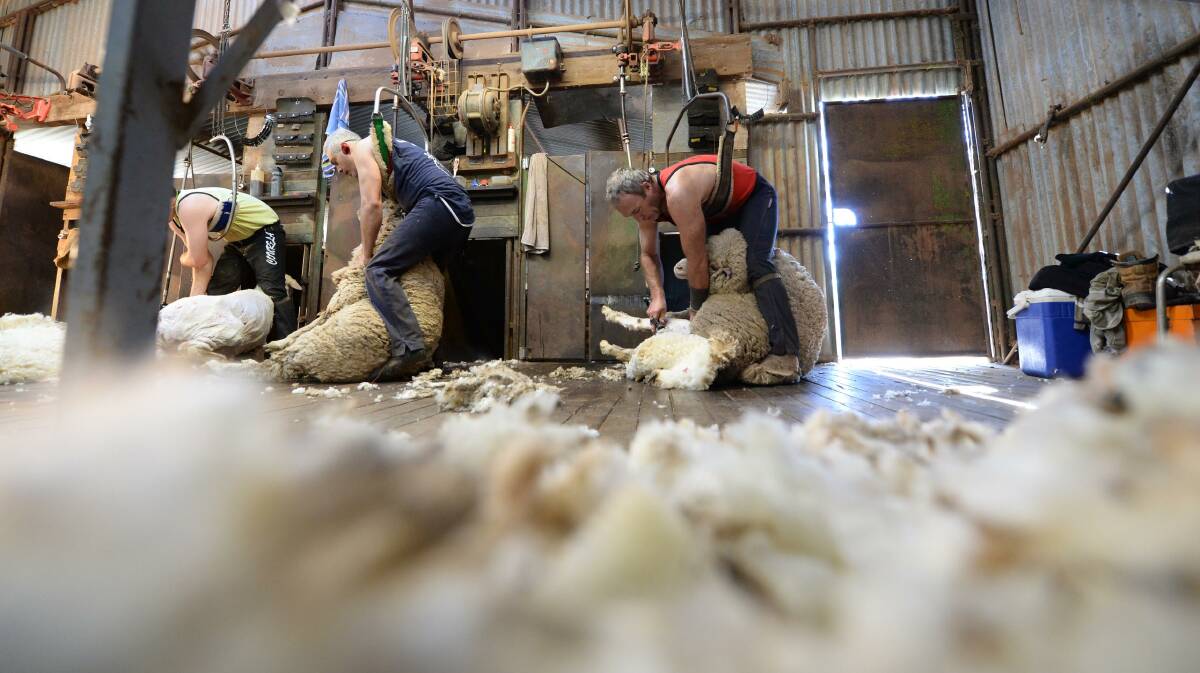 The shearing industry is being forced to defend its use of New Zealand shearers, amid calls seasonal workers are robbing young Australians of a chance to take up the trade.