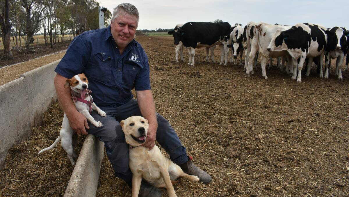 Tongala dairy farmer Andrew Tyler with farm dogs Charlotte and Poppy. Picture by Andrew Miller